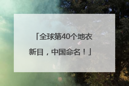 全球第40个地衣新目，中国命名！