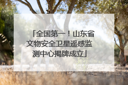 全国第一！山东省文物安全卫星遥感监测中心揭牌成立