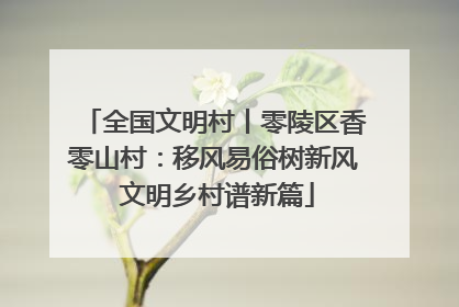 全国文明村丨零陵区香零山村：移风易俗树新风 文明乡村谱新篇