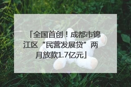 全国首创！成都市锦江区“民营发展贷”两月放款1.7亿元