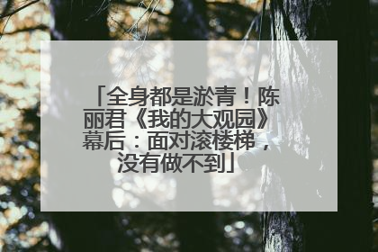 全身都是淤青！陈丽君《我的大观园》幕后：面对滚楼梯，没有做不到