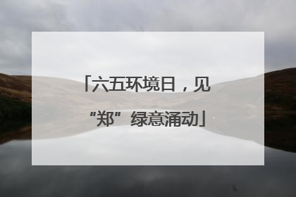 六五环境日，见“郑”绿意涌动