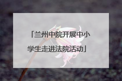 兰州中院开展中小学生走进法院活动