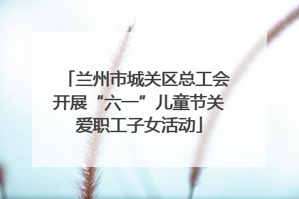 兰州市城关区总工会开展“六一”儿童节关爱职工子女活动