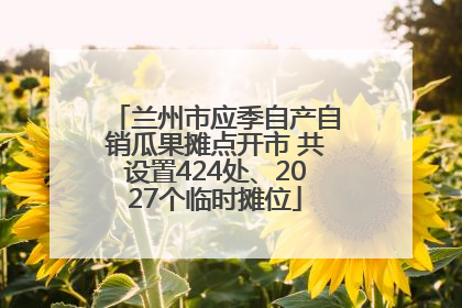 兰州市应季自产自销瓜果摊点开市 共设置424处、2027个临时摊位