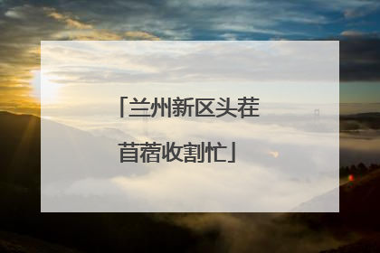兰州新区头茬苜蓿收割忙