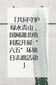 共同守护绿水青山，国网湖北电科院开展“六五”环境日志愿活动