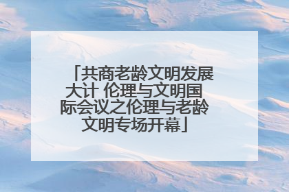 共商老龄文明发展大计 伦理与文明国际会议之伦理与老龄文明专场开幕