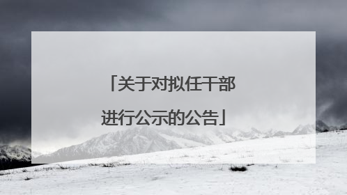 关于对拟任干部进行公示的公告