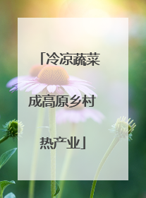 冷凉蔬菜成高原乡村热产业