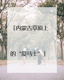 内蒙古草原上的“爱马士”