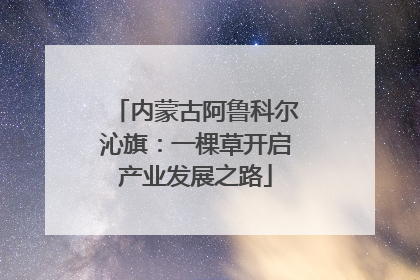 内蒙古阿鲁科尔沁旗：一棵草开启产业发展之路