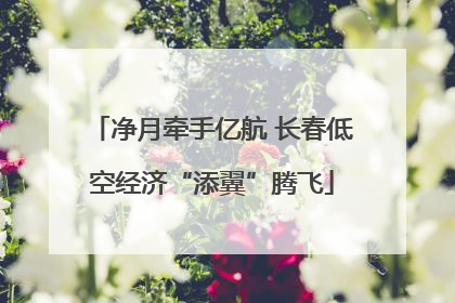 净月牵手亿航 长春低空经济“添翼”腾飞