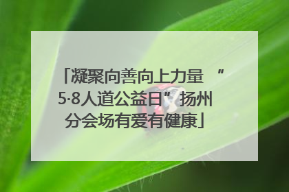 凝聚向善向上力量 “5·8人道公益日”扬州分会场有爱有健康