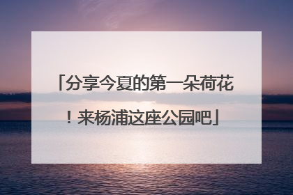 分享今夏的第一朵荷花！来杨浦这座公园吧