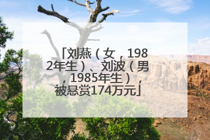 刘燕（女，1982年生）、刘波（男，1985年生），被悬赏174万元
