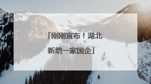 刚刚宣布！湖北新增一家国企