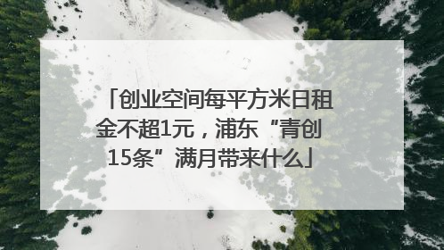 创业空间每平方米日租金不超1元，浦东“青创15条”满月带来什么