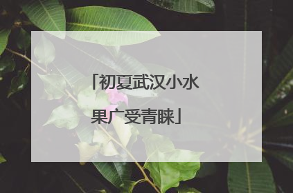 初夏武汉小水果广受青睐