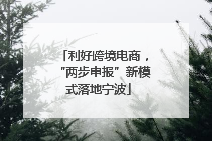 利好跨境电商，“两步申报”新模式落地宁波