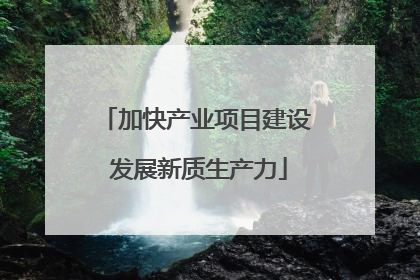 加快产业项目建设 发展新质生产力