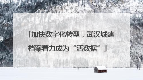 加快数字化转型，武汉城建档案着力成为“活数据”