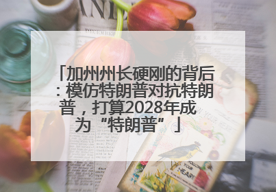 加州州长硬刚的背后：模仿特朗普对抗特朗普，打算2028年成为“特朗普”