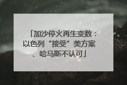 加沙停火再生变数：以色列“接受”美方案、哈马斯不认可