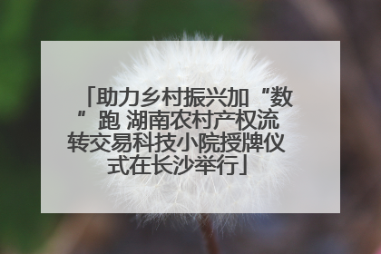 助力乡村振兴加“数”跑 湖南农村产权流转交易科技小院授牌仪式在长沙举行
