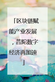 区块链赋能产业发展，普陀数字经济再加速