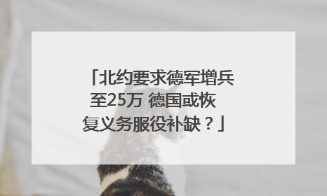 北约要求德军增兵至25万 德国或恢复义务服役补缺？