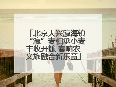 北京大兴瀛海镇“瀛”麦相承小麦丰收开镰 奏响农文旅融合新乐章
