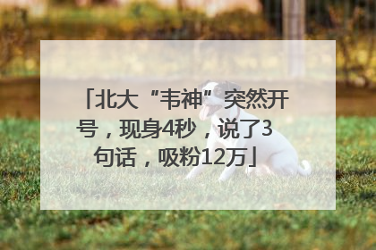 北大“韦神”突然开号，现身4秒，说了3句话，吸粉12万