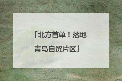 北方首单！落地青岛自贸片区