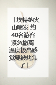 埃特纳火山喷发 约40名游客紧急撤离 温度极高感觉要被烤焦了