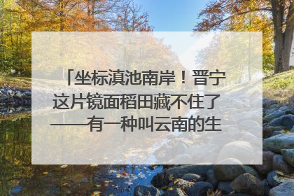 坐标滇池南岸！晋宁这片镜面稻田藏不住了——有一种叫云南的生活之365天