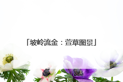 坡岭流金：萱草图景