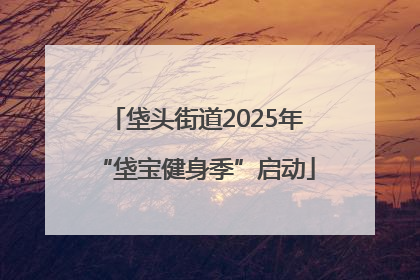 垡头街道2025年“垡宝健身季”启动