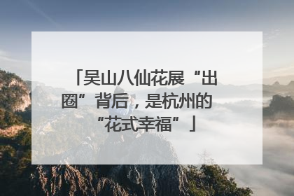 吴山八仙花展“出圈”背后，是杭州的“花式幸福”