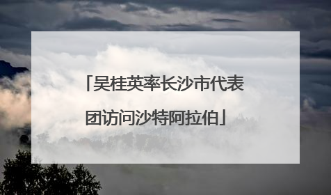 吴桂英率长沙市代表团访问沙特阿拉伯