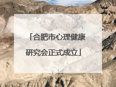 合肥市心理健康研究会正式成立