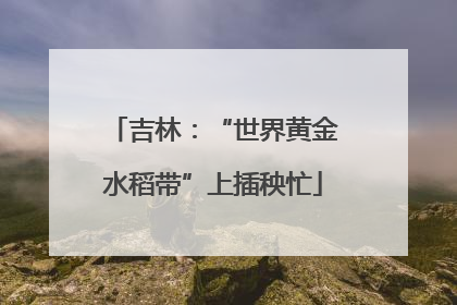 吉林：“世界黄金水稻带”上插秧忙