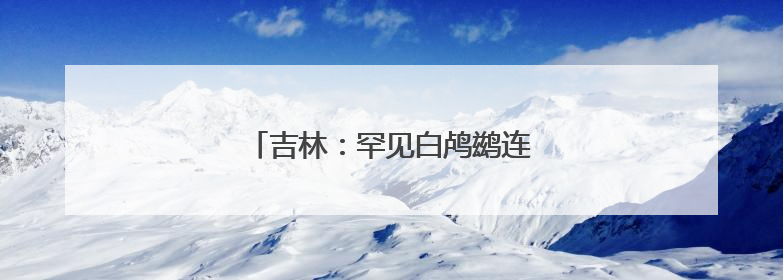 吉林：罕见白鸬鹚连续两年“故地重游”