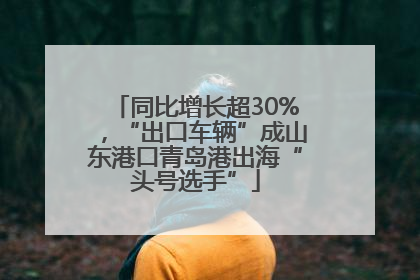 同比增长超30%，“出口车辆”成山东港口青岛港出海“头号选手”