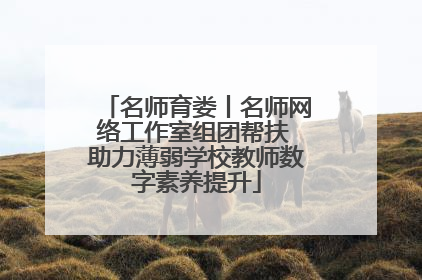 名师育娄丨名师网络工作室组团帮扶 助力薄弱学校教师数字素养提升