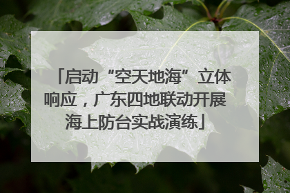 启动“空天地海”立体响应，广东四地联动开展海上防台实战演练