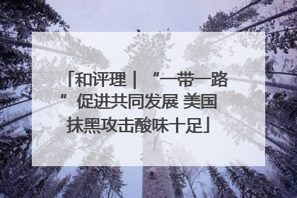 和评理｜“一带一路”促进共同发展 美国抹黑攻击酸味十足