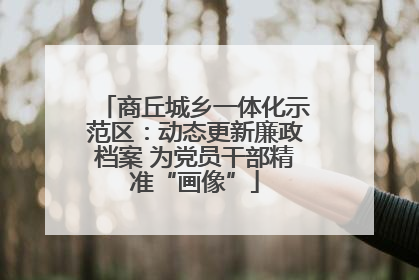 商丘城乡一体化示范区：动态更新廉政档案 为党员干部精准“画像”