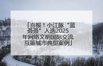 喜报！小江豚“蓝叒叒”入选2025年网络文明国际交流互鉴城市典型案例