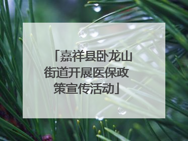 嘉祥县卧龙山街道开展医保政策宣传活动